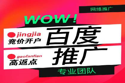 百度竞价代运营助力企业增长案例